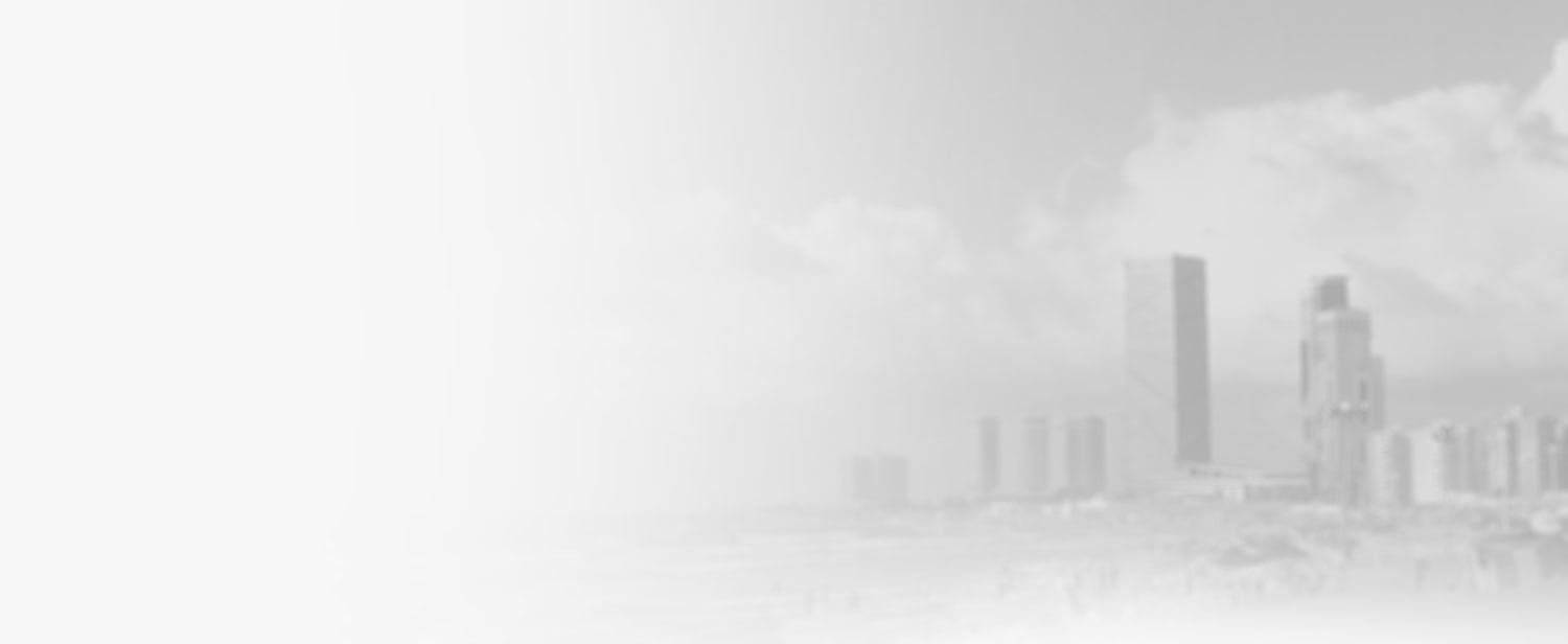 المنظمة الليبية للإعلام المستقل